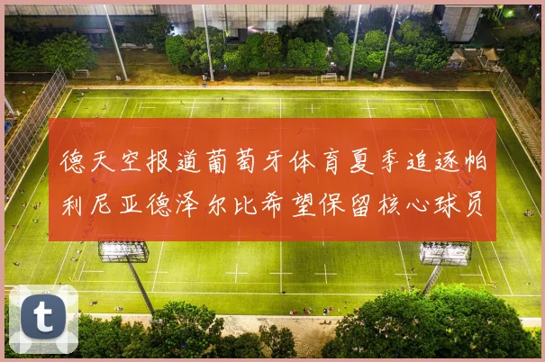 德天空报道葡萄牙体育夏季追逐帕利尼亚德泽尔比希望保留核心球员
