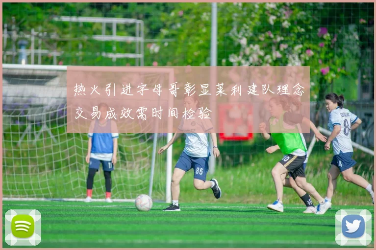 热火引进字母哥彰显莱利建队理念交易成效需时间检验