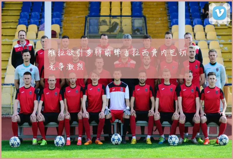 维拉欲引多特前锋吉拉西费内巴切竞争激烈